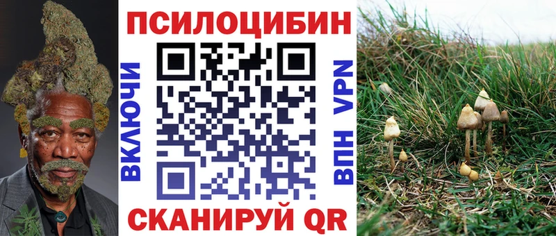 Псилоцибиновые грибы прущие грибы  Наро-Фоминск 